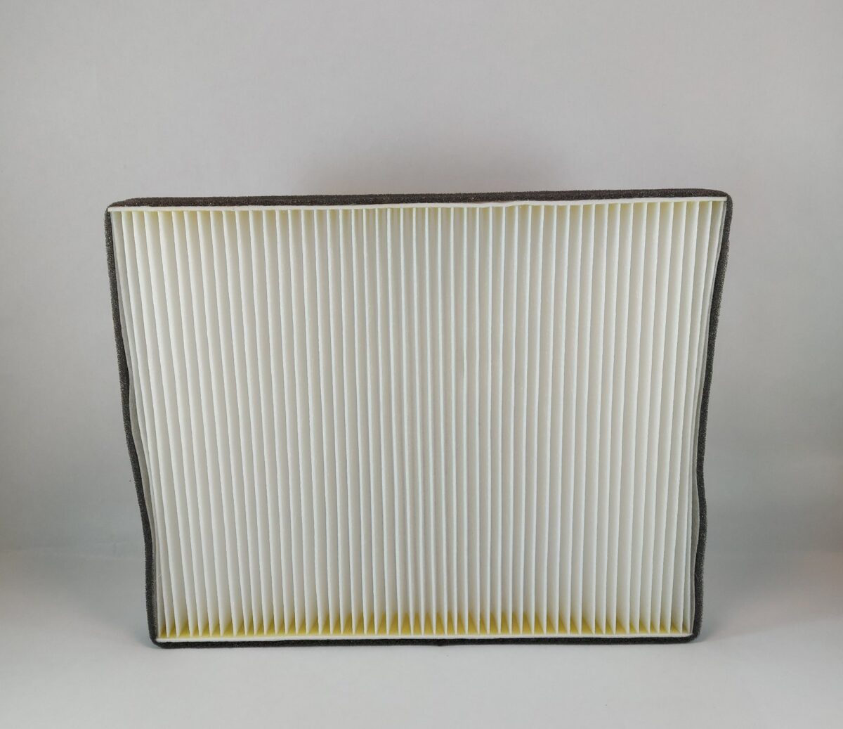 ANTI-POLEN VOLKSWAEN. TRANSPORTER/T0UAREG  280x220x30mm - Imagen 1