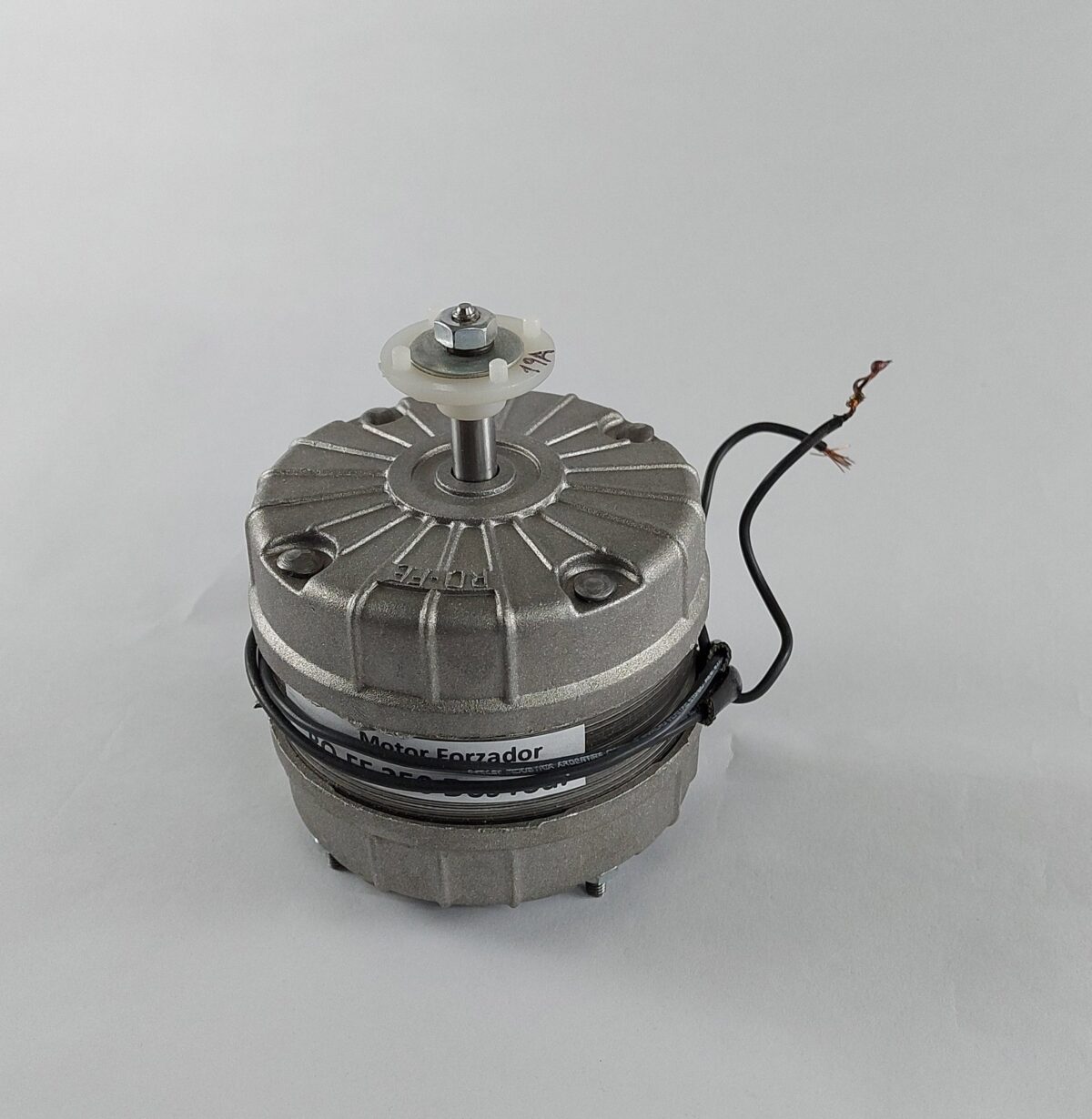motor250 dos rodamientos EJE F c/adaptador s/base - Imagen 1