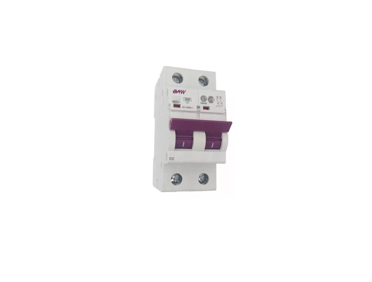Llave térmica bipolar C10 BAW - Imagen 1
