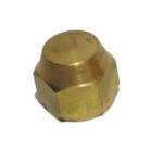 Tapa ciega 3/4" FH