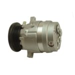Compresor Chevrolet S10 / Lumina Delphi V5 6PK 12v