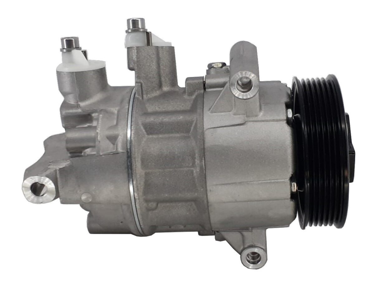 Compresor Mahle ACP218 - Imagen 1
