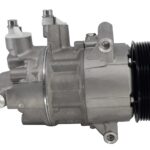 Compresor Mahle ACP218